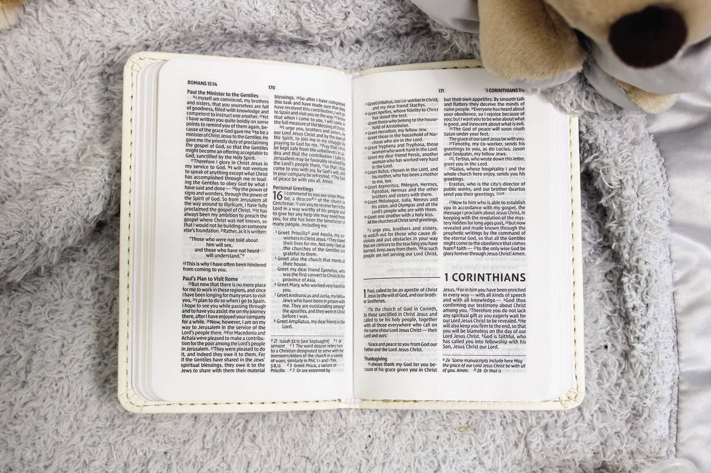 NIV Tiny Testament Bible New Testament Leathersoft White