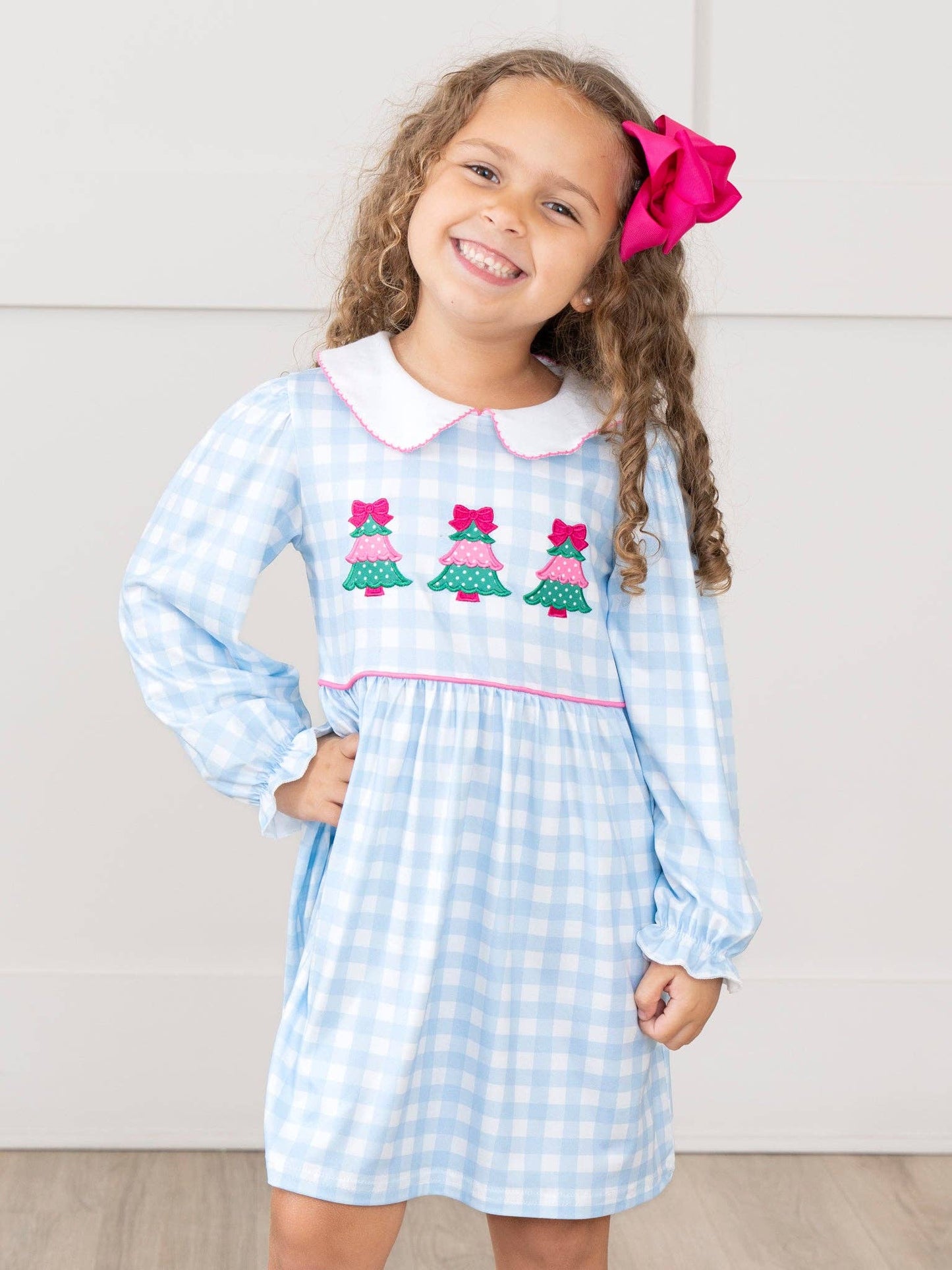 Winter Wonderland Embroidered Gingham Dress: XXL(6yrs)