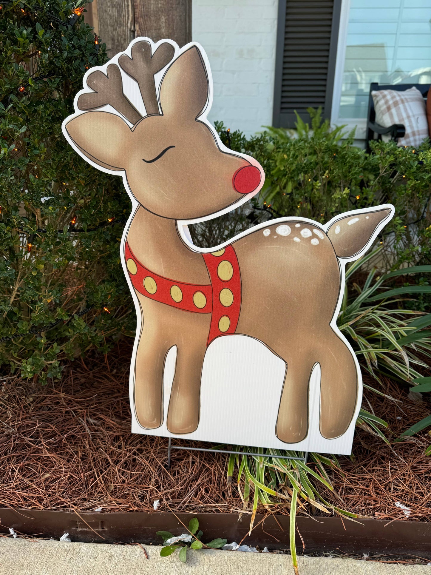 Rudolph 