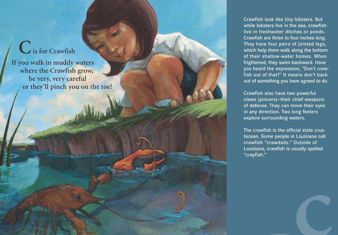 P is for Pelican: A LOUISIANA Alphabet Picture Book