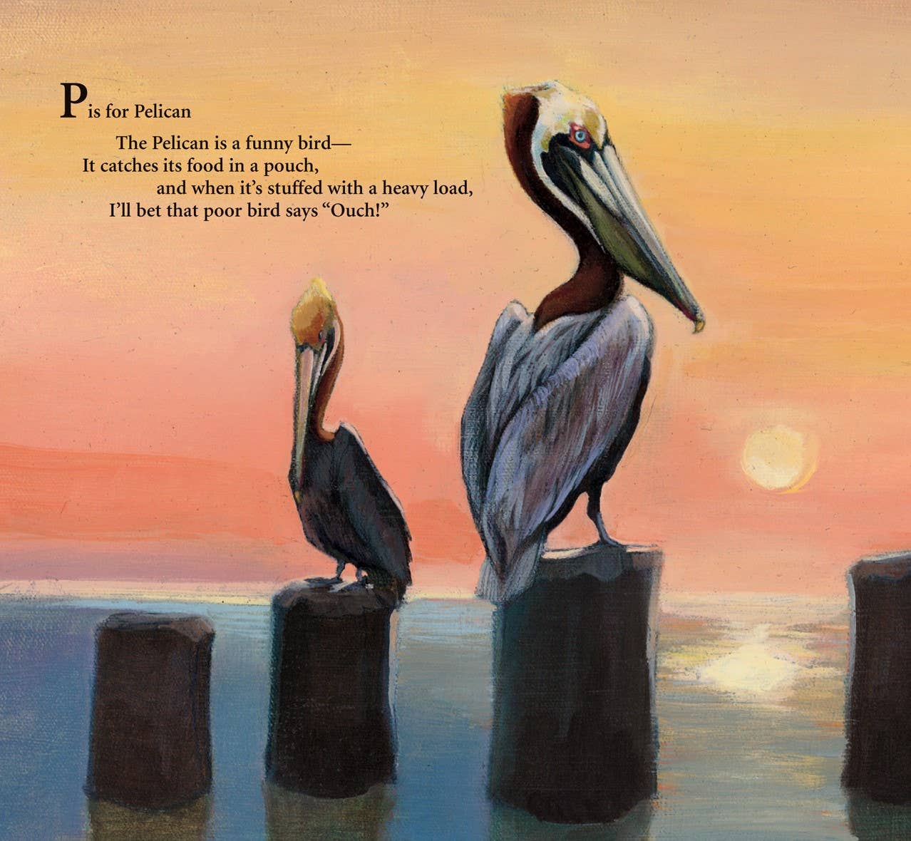 P is for Pelican: A LOUISIANA Alphabet Picture Book