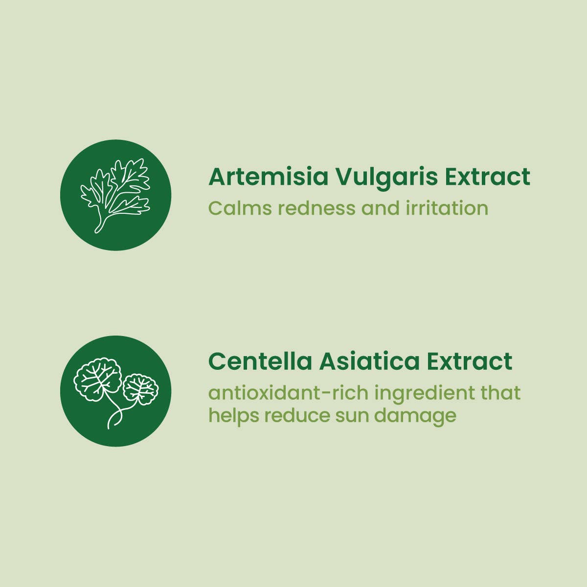 Face Mask - Korean Beauty - Artemisia Refreshing Relief